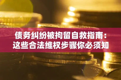 北京债务纠纷被拘留自救指南：这些合法维权步骤你必须知道！
