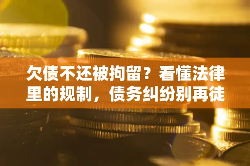 北京欠债不还被拘留？看懂法律里的规制，债务纠纷别再徒劳奔波
