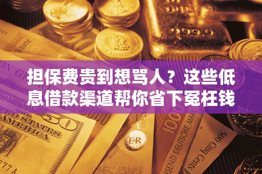 北京担保费贵到想骂人？这些低息借款渠道帮你省下冤枉钱