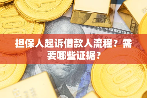 北京担保人起诉借款人流程？需要哪些证据？
